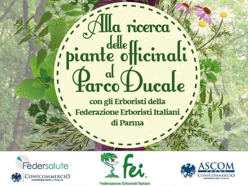 Evento FEI Parco Ducale luglio 2021
