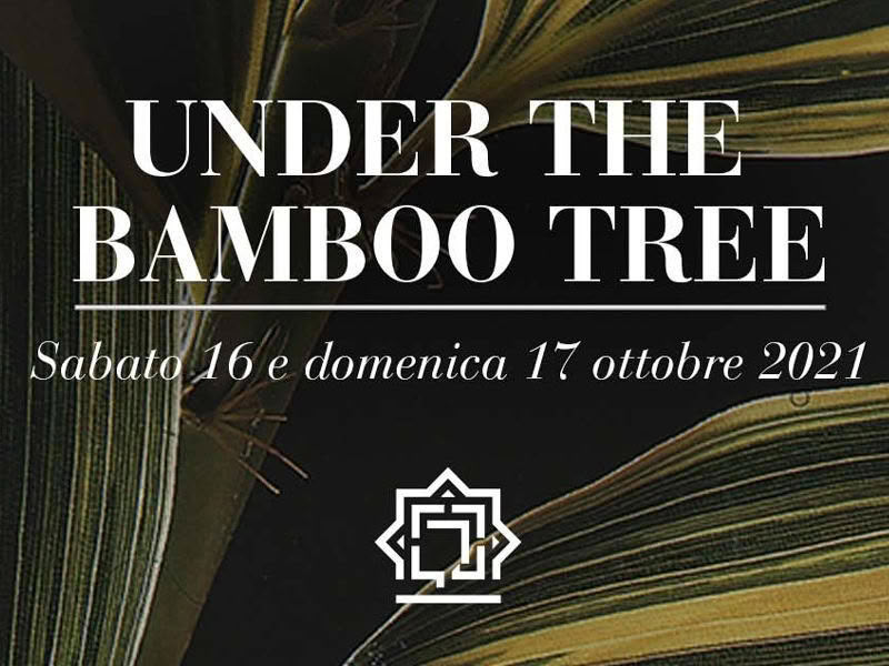 under the bamboo tree 2021