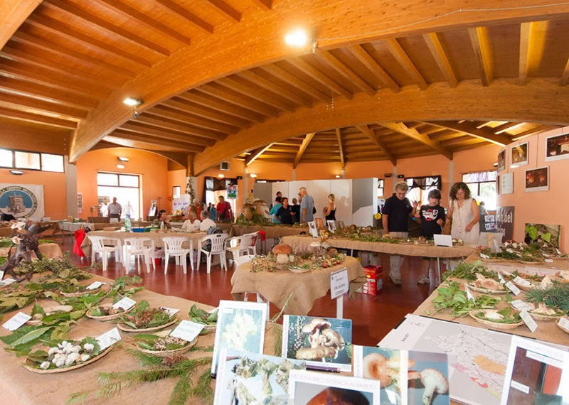 Fiera Fungo Albareto