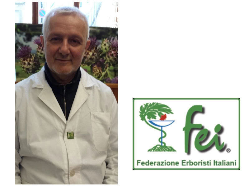 Pedrazzini - FEI Parma