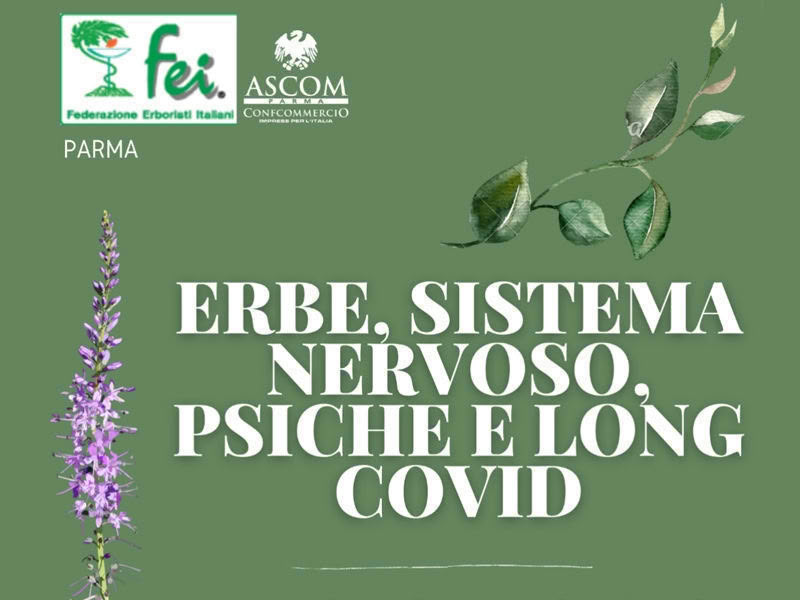 fei giornata studio ottobre 2023 800x600